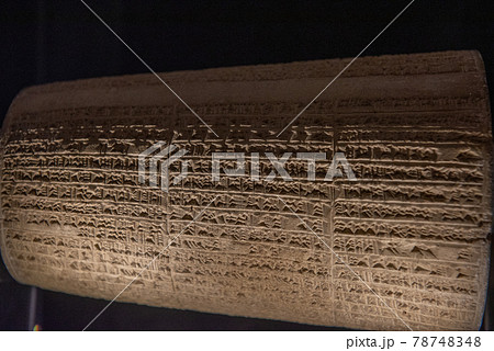 バチカンの宝たち バチカンの宝たち 78748348