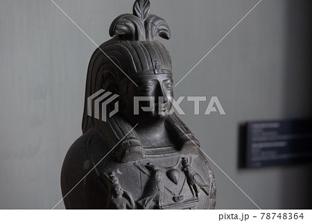 バチカンの宝たち バチカンの宝たち 78748364