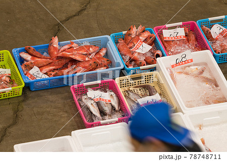 【魚市場　アカムツ】 78748711