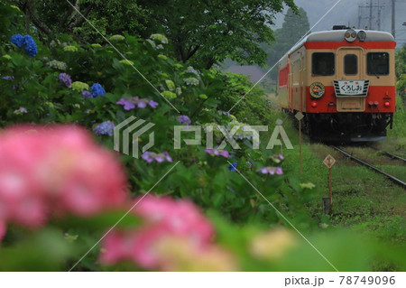 いすみ鉄道キハ52・キハ28_2021/6/6撮影 78749096