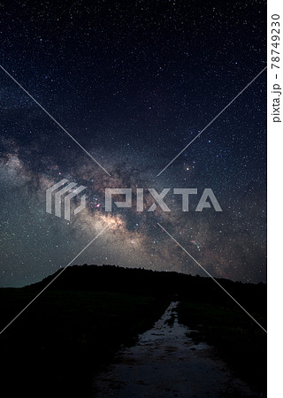 昇るさそり座と夏の銀河 昇るさそり座と夏の銀河 78749230