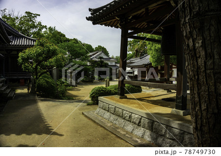 玉島港　円乗院　岡山県倉敷市 78749730