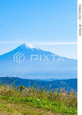 浜石岳山頂から望む富士山 78749901