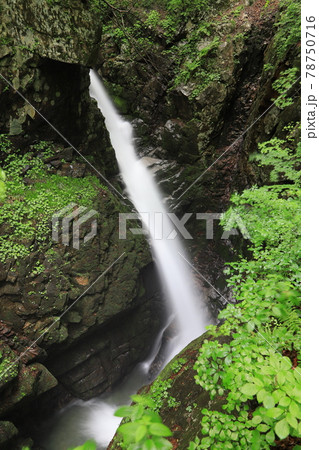 摩耶の滝 78750716