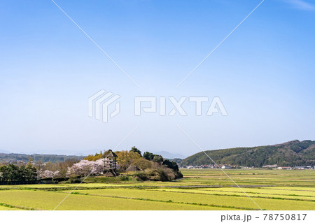 鳥取県米子市 春の伯耆古代の丘公園の遠景 鳥取県米子市 春の伯耆古代の丘公園の遠景 78750817