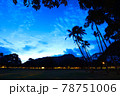 朝の情景 78751006