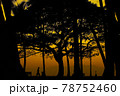 黄昏時の浜辺 78752460