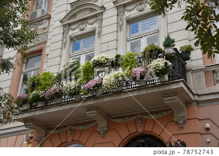 木 ツリー 樹 78752743