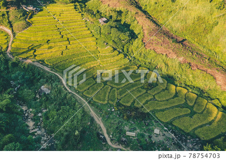 Aerial view of Nang Lae Nai Rice Terraces in Chiang Rai, Chiang Mai province, Thailand 78754703