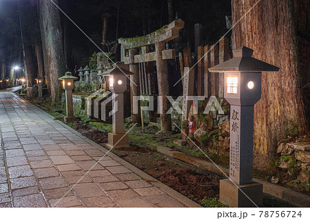 和歌山　高野山 夜の奥の院参道 78756724