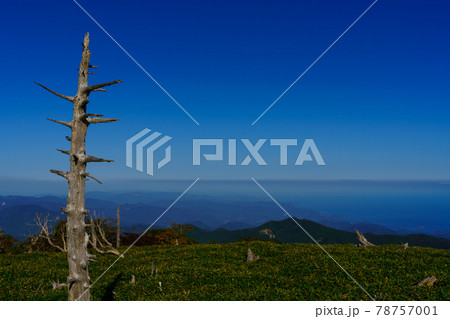 大台ヶ原正木峠から太平洋、紀伊半島を望む	 78757001