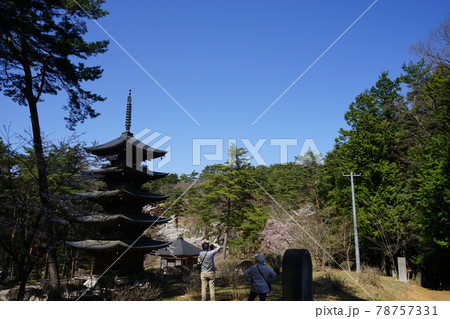春の遠野 福泉寺五重塔 春の遠野 福泉寺五重塔 78757331