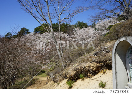 春の遠野 福泉寺 春の遠野 福泉寺 78757348