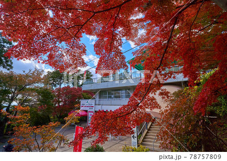 秋の茨城県 筑波山ケーブルカー宮脇駅 78757809