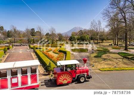 鳥取県 春のとっとり花回廊のヨーロピアンガーデンをめぐるフラワートレイン 鳥取県 春のとっとり花回廊のヨーロピアンガーデンをめぐるフラワートレイン 78758736