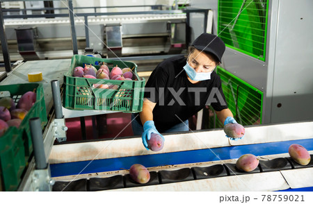 Woman in mask sorting mango at factory 78759021