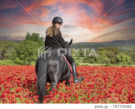 riding girl and horse riding girl and horse 78759080