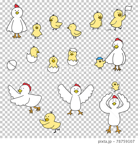ヒヨコとニワトリのポップなベクターイラストのセット 78759107
