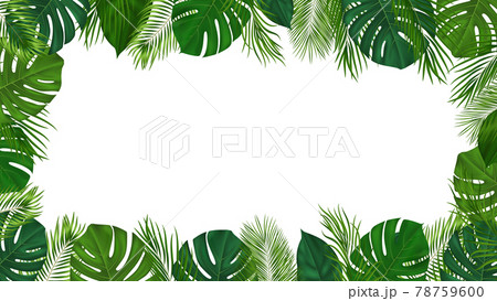 Summer tropical background with green palm leaves. Exotic botanical design with jungle plants for invitation, banner, poster. Vector illustration Summer tropical background with green palm leaves. Exotic botanical design with jungle plants for invitation, banner, poster. Vector illustration 78759600