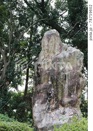 静岡県浜松市井伊谷宮の「慈母観音石」 静岡県浜松市井伊谷宮の「慈母観音石」 78759602