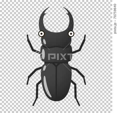 Illustration image of stag beetle 78759640