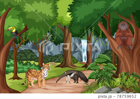 Forest scene with different wild animals 78759652
