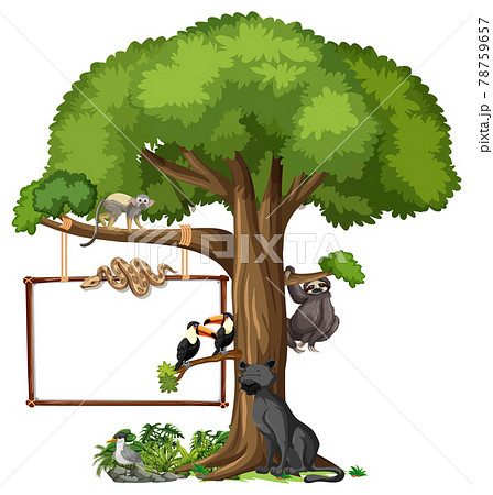 Empty banner with wild animals and rainforest trees on white background Empty banner with wild animals and rainforest trees on white background 78759657