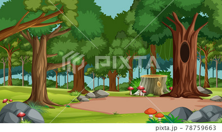 Forest scene with various forest trees Forest scene with various forest trees 78759663