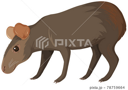 BR_nu_animals_new-23.eps 78759664