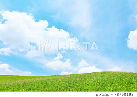爽やかな青空と白い雲の草原風景 爽やかな青空と白い雲の草原風景 78760198