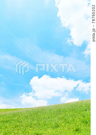 爽やかな青空と白い雲の草原風景 78760202