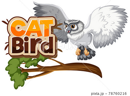 White owl on branch cartoon character with Cat Bird font banner isolated 78760216