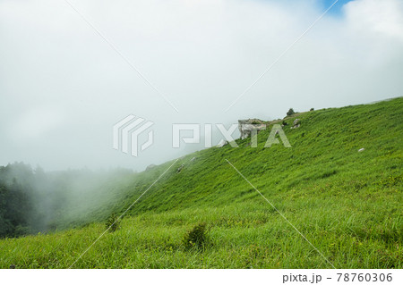 初夏の生石高原(朝霧の火上げ岩を望む)　【和歌山県紀美野町】 78760306