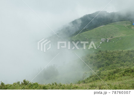 初夏の生石高原(朝霧の火上げ岩を望む)　【和歌山県紀美野町】 78760307