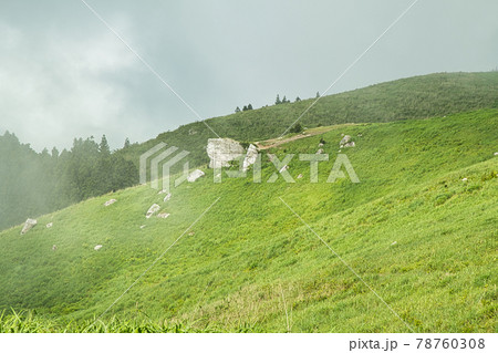 初夏の生石高原(朝霧の火上げ岩を望む)　【和歌山県紀美野町】 78760308