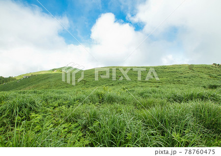 初夏の生石高原(笠石・火上げ岩を望む) 【和歌山県紀美野町】 初夏の生石高原(笠石・火上げ岩を望む) 【和歌山県紀美野町】 78760475