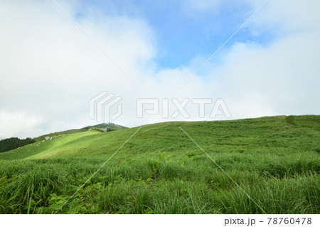 初夏の生石高原(笠石・火上げ岩を望む) 【和歌山県紀美野町】 初夏の生石高原(笠石・火上げ岩を望む) 【和歌山県紀美野町】 78760478