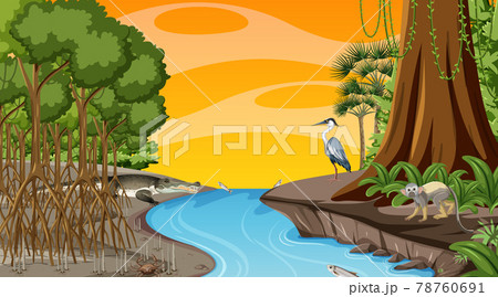 Nature scene with Mangrove forest at sunset time in cartoon style 78760691