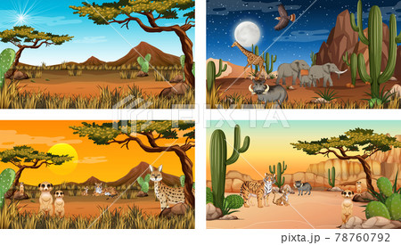 Different desert forest landscape scenes with animals and plants Different desert forest landscape scenes with animals and plants 78760792