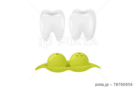 Salt And Pepper Shaker Or Pot As Ceramic Shaped のイラスト素材