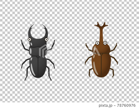 カブトムシとクワガタのイラストイメージ 78760976