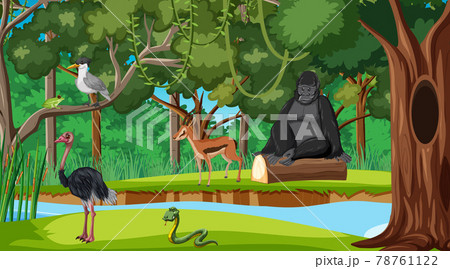 Forest scene with different wild animals Forest scene with different wild animals 78761122