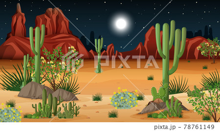 Desert forest landscape at night scene 78761149