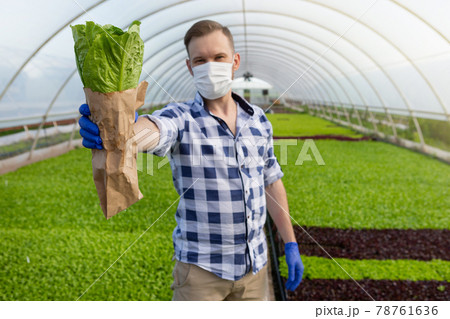 inside the greenhouse, a man wearing a medical mask, holding a lettuce packed in a paper bag 78761636
