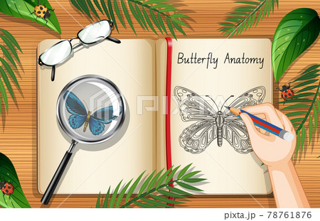 Blank book page on office work table top view with leaves and insects element Blank book page on office work table top view with leaves and insects element 78761876