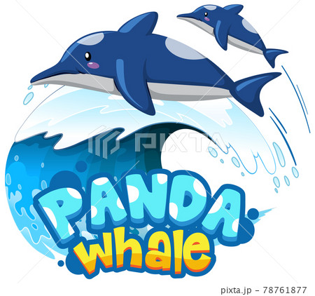 Dolphins cartoon character with Panda Whale font banner isolated Dolphins cartoon character with Panda Whale font banner isolated 78761877
