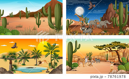 Different scenes with desert forest landscape with animals and plants 78761978