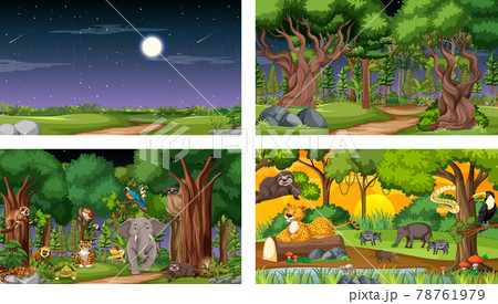Set of different forest horizontal scene with various wild animals 78761979