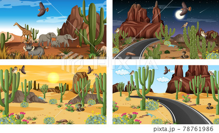 Different scenes with desert forest landscape with animals and plants 78761986