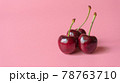 チェリー 実 赤 78763710